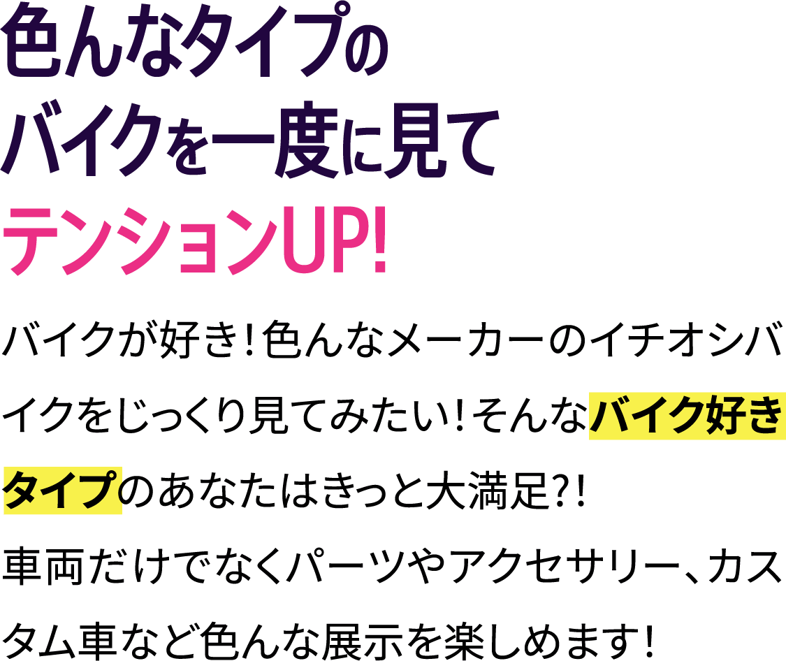 色んなタイプのバイクを一度に見てテンションUP!